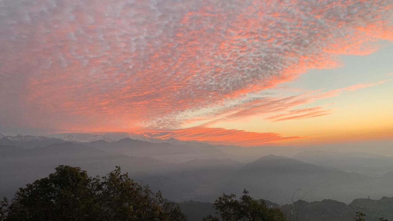 Hotel Pristine Himalaya بوكْرا المظهر الخارجي الصورة