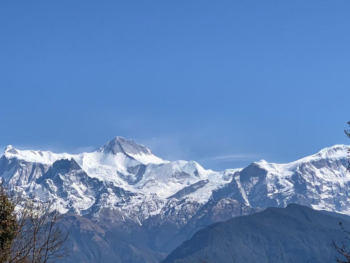 Hotel Pristine Himalaya بوكْرا المظهر الخارجي الصورة