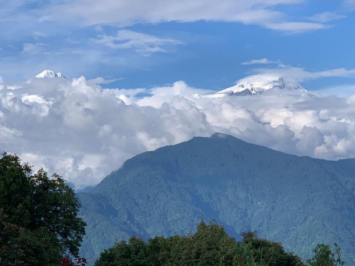 Hotel Pristine Himalaya بوكْرا المظهر الخارجي الصورة