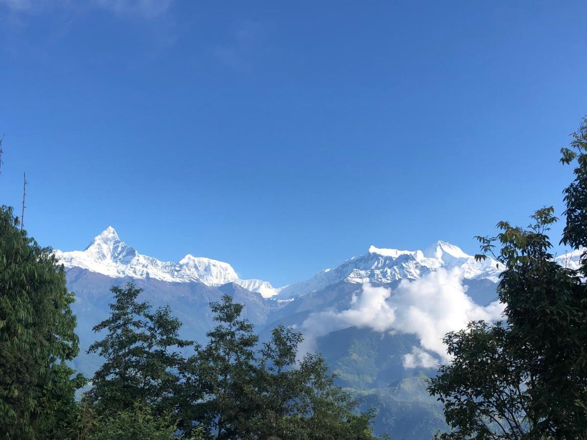 Hotel Pristine Himalaya بوكْرا المظهر الخارجي الصورة