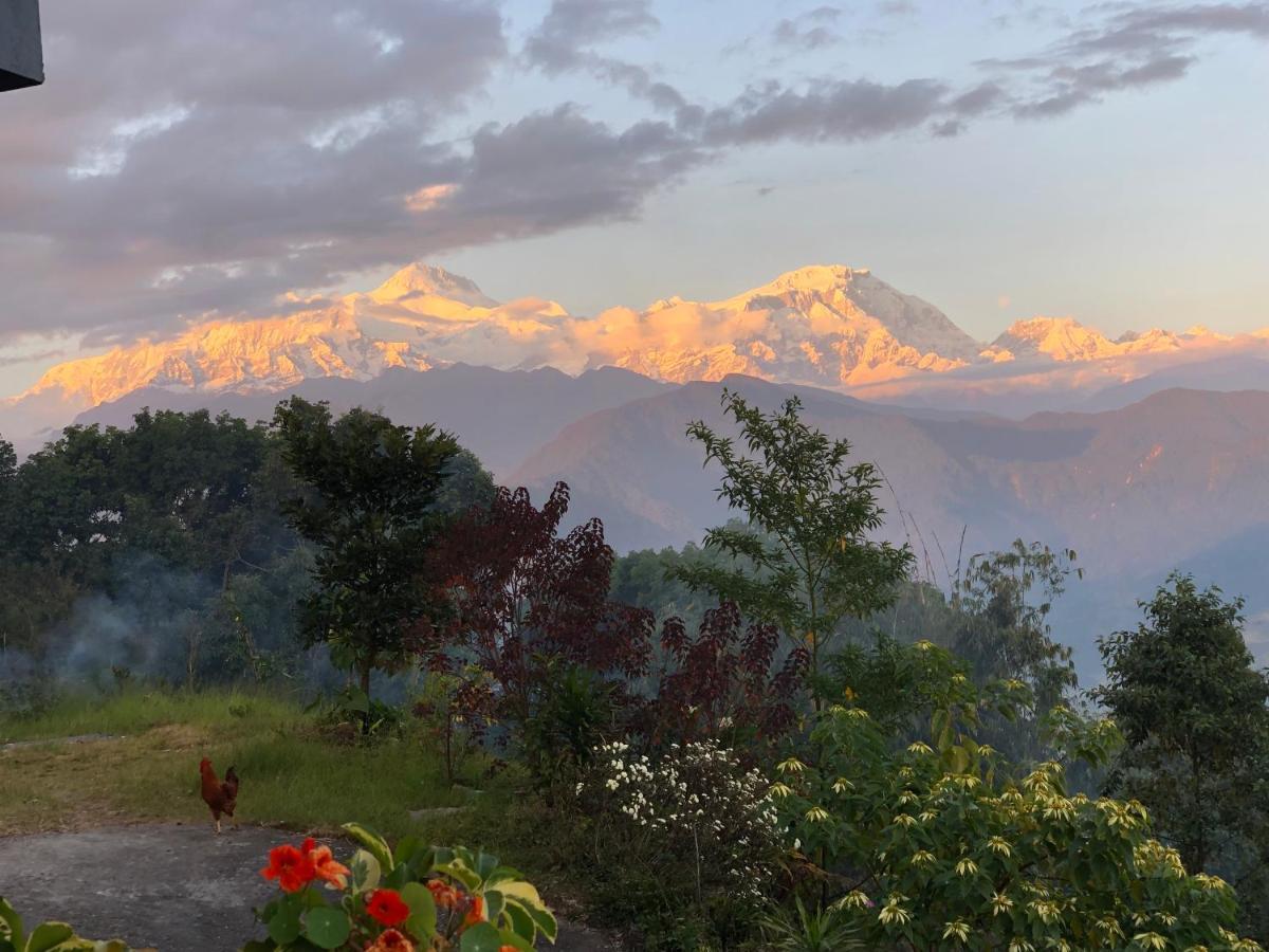 Hotel Pristine Himalaya بوكْرا المظهر الخارجي الصورة