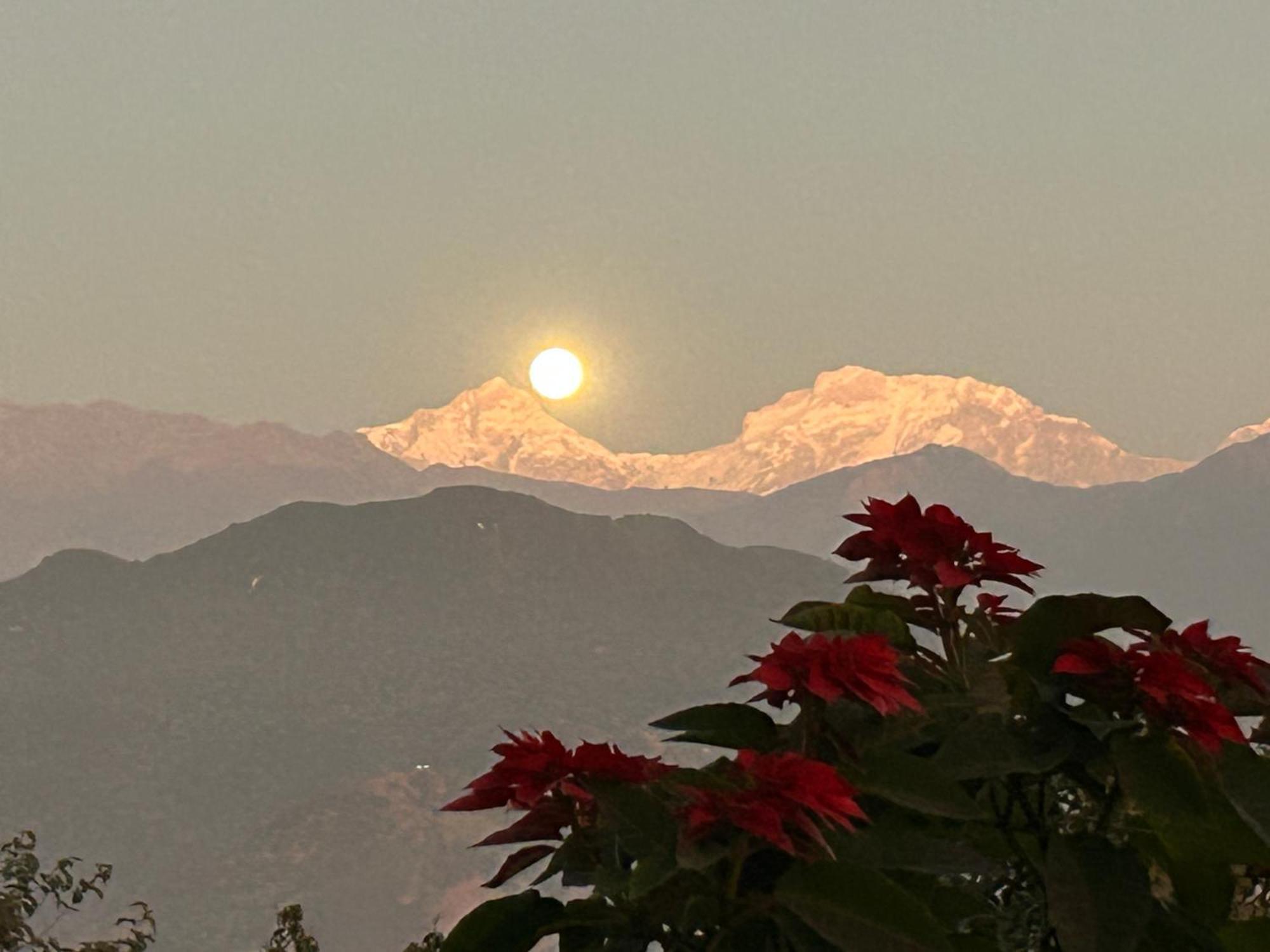 Hotel Pristine Himalaya بوكْرا المظهر الخارجي الصورة