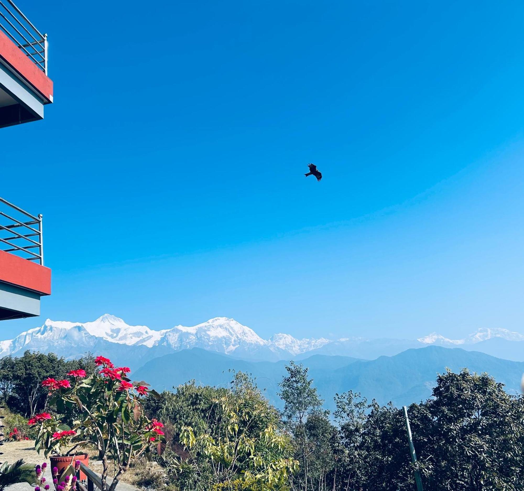 Hotel Pristine Himalaya بوكْرا المظهر الخارجي الصورة