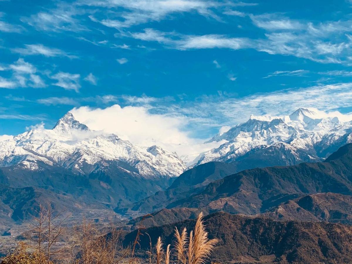 Hotel Pristine Himalaya بوكْرا المظهر الخارجي الصورة